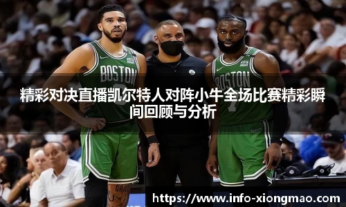 精彩对决直播凯尔特人对阵小牛全场比赛精彩瞬间回顾与分析