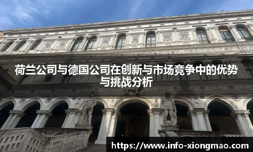 荷兰公司与德国公司在创新与市场竞争中的优势与挑战分析
