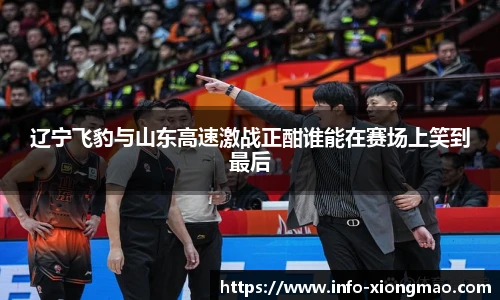 辽宁飞豹与山东高速激战正酣谁能在赛场上笑到最后